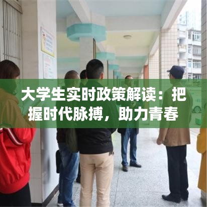 大学生实时政策解读：把握时代脉搏，助力青春成长