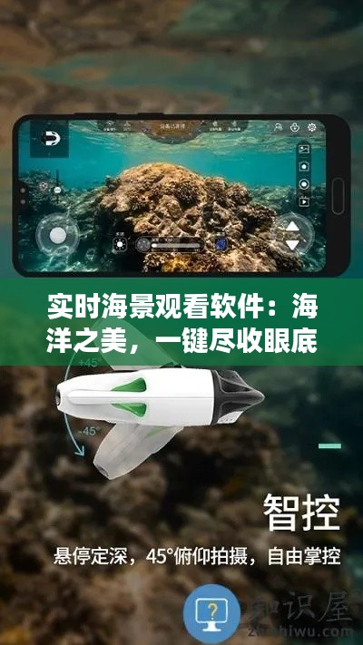 实时海景观看软件：海洋之美，一键尽收眼底