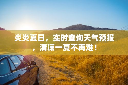 炎炎夏日，实时查询天气预报，清凉一夏不再难！