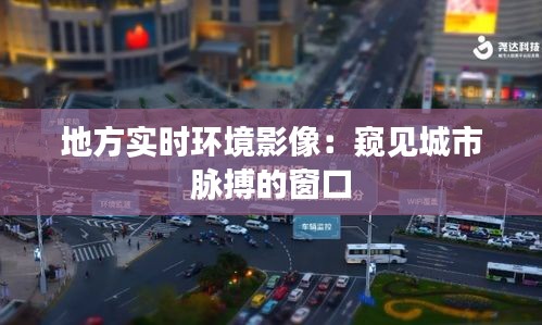 地方实时环境影像：窥见城市脉搏的窗口