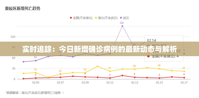 实时追踪：今日新增确诊病例的最新动态与解析