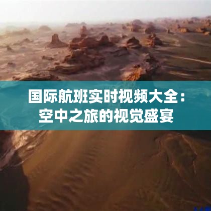 国际航班实时视频大全：空中之旅的视觉盛宴