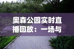 奥森公园实时直播回放：一场与自然的亲密接触