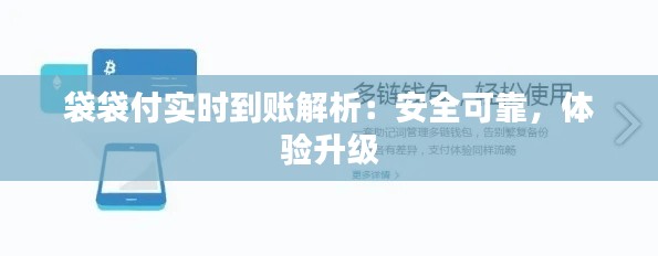 袋袋付实时到账解析：安全可靠，体验升级