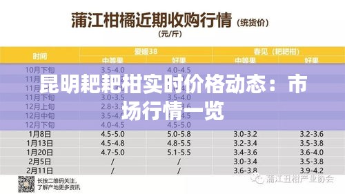 昆明耙耙柑实时价格动态：市场行情一览