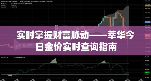 实时掌握财富脉动——萃华今日金价实时查询指南