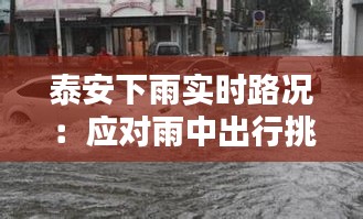 泰安下雨实时路况：应对雨中出行挑战