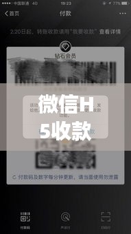 微信H5收款实时性解析：速度与效率的双重保障