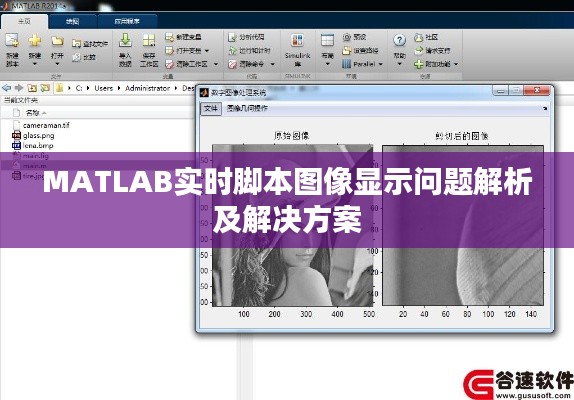 MATLAB实时脚本图像显示问题解析及解决方案