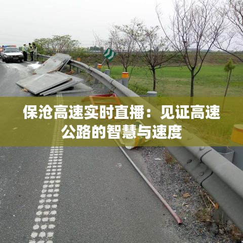 保沧高速实时直播：见证高速公路的智慧与速度