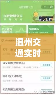 温州交通实时查询：智慧出行，畅行无忧