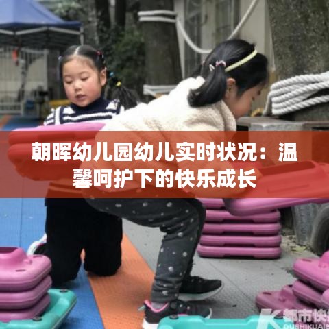 朝晖幼儿园幼儿实时状况：温馨呵护下的快乐成长