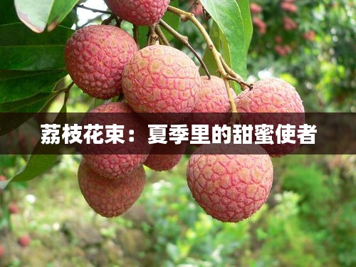 荔枝花束：夏季里的甜蜜使者