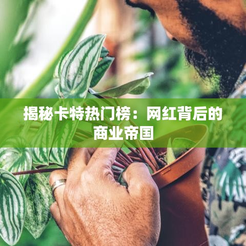 揭秘卡特热门榜：网红背后的商业帝国