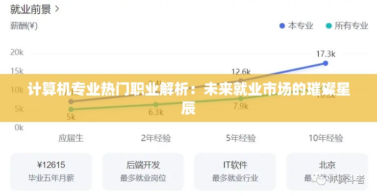 计算机专业热门职业解析：未来就业市场的璀璨星辰