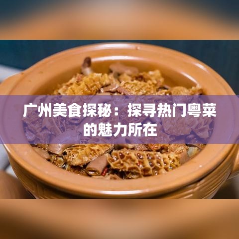 广州美食探秘：探寻热门粤菜的魅力所在