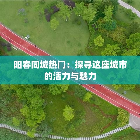 阳春同城热门：探寻这座城市的活力与魅力