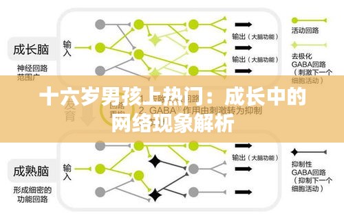 十六岁男孩上热门：成长中的网络现象解析