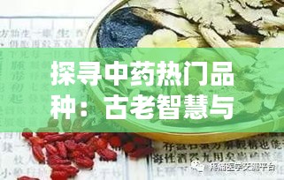 探寻中药热门品种：古老智慧与现代生活的完美融合