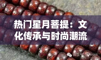 热门星月菩提：文化传承与时尚潮流的完美融合