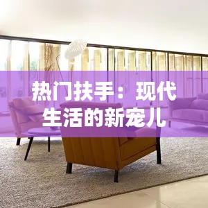 热门扶手：现代生活的新宠儿