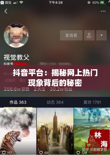 抖音平台：揭秘网上热门现象背后的秘密