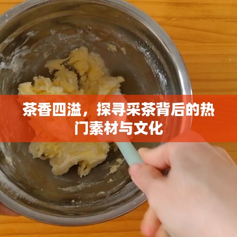 茶香四溢，探寻采茶背后的热门素材与文化