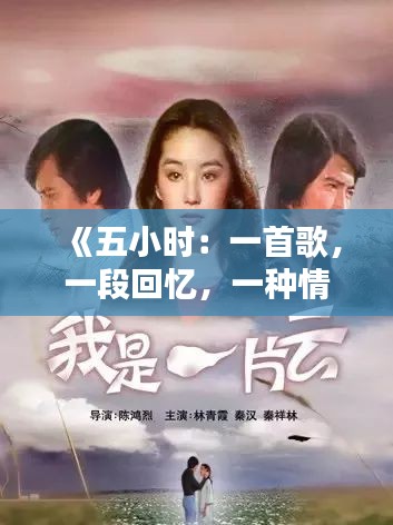 《五小时：一首歌，一段回忆，一种情感》