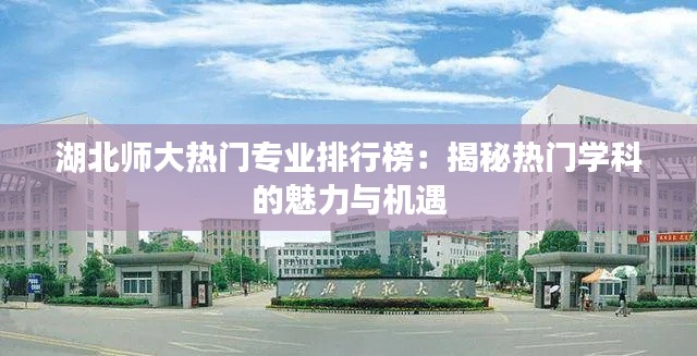 湖北师大热门专业排行榜：揭秘热门学科的魅力与机遇