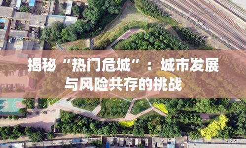 揭秘“热门危城”：城市发展与风险共存的挑战