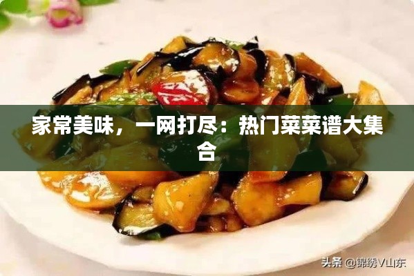 家常美味，一网打尽：热门菜菜谱大集合