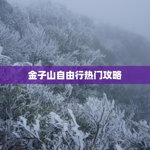 金子山自由行热门攻略