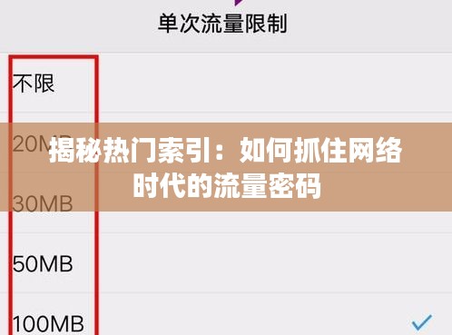 揭秘热门索引：如何抓住网络时代的流量密码