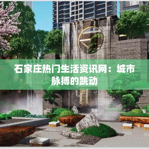 石家庄热门生活资讯网：城市脉搏的跳动