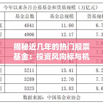 揭秘近几年的热门股票基金：投资风向标与机遇分析