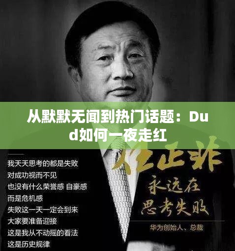 从默默无闻到热门话题：Dud如何一夜走红