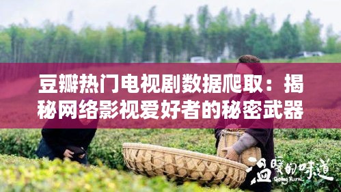 豆瓣热门电视剧数据爬取：揭秘网络影视爱好者的秘密武器