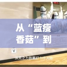 从“蓝瘦香菇”到“社会人”：揭秘热门世纪梗的演变与魅力