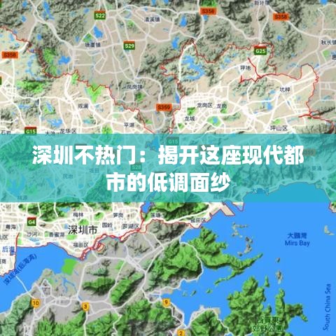 深圳不热门：揭开这座现代都市的低调面纱