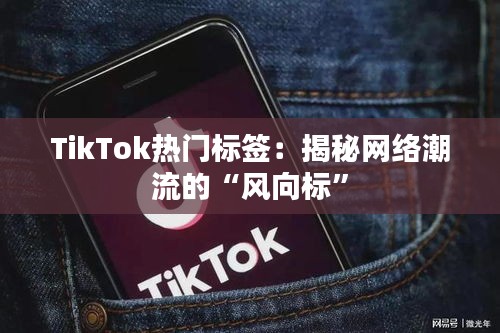 TikTok热门标签：揭秘网络潮流的“风向标”