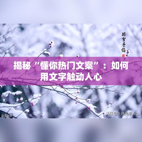 揭秘“懂你热门文案”：如何用文字触动人心