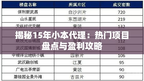 揭秘15年小本代理：热门项目盘点与盈利攻略