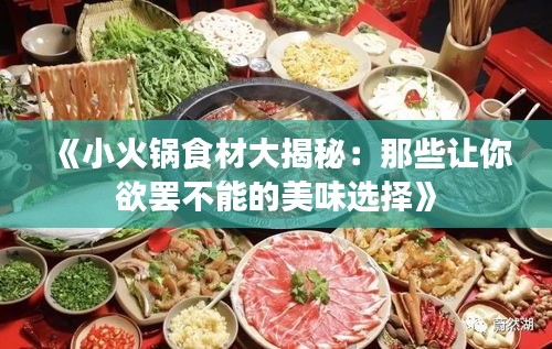 《小火锅食材大揭秘：那些让你欲罢不能的美味选择》