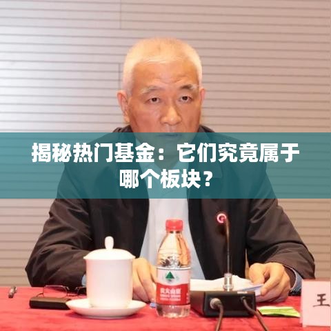 揭秘热门基金：它们究竟属于哪个板块？