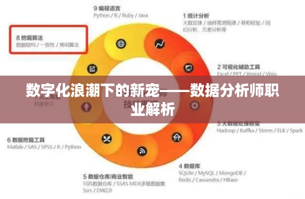 数字化浪潮下的新宠——数据分析师职业解析