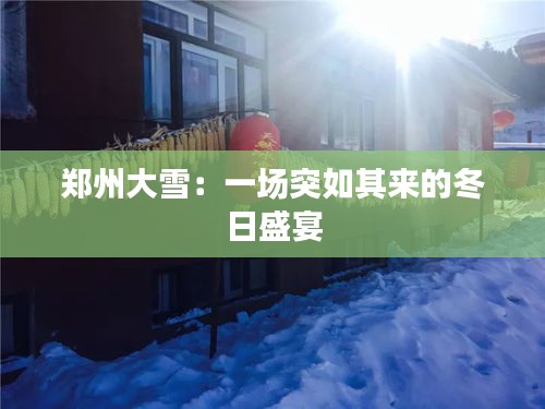 郑州大雪：一场突如其来的冬日盛宴