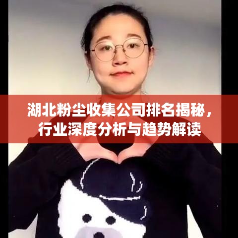 湖北粉尘收集公司排名揭秘，行业深度分析与趋势解读