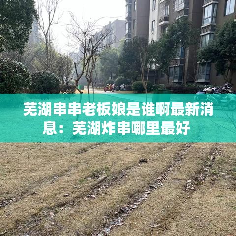 芜湖串串老板娘是谁啊最新消息：芜湖炸串哪里最好 