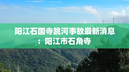 阳江石国寺跳河事故最新消息：阳江市石角寺 