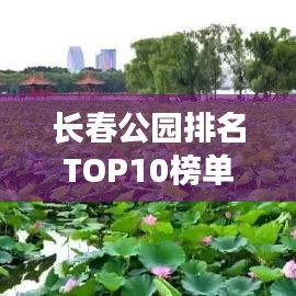 长春公园排名TOP10榜单揭晓！必去十大公园盘点